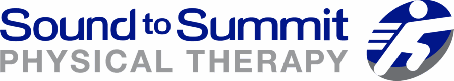 SoundToSummit_COLOR_logo