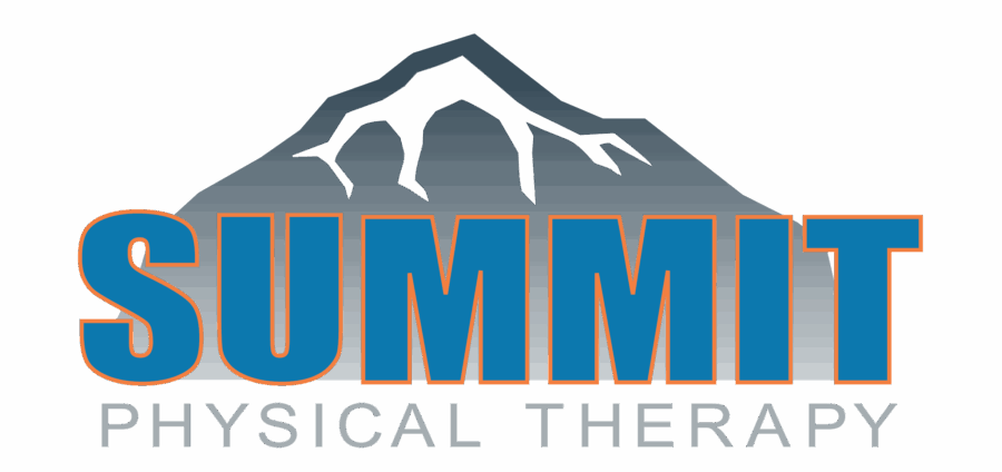 Summit_COLOR_logo