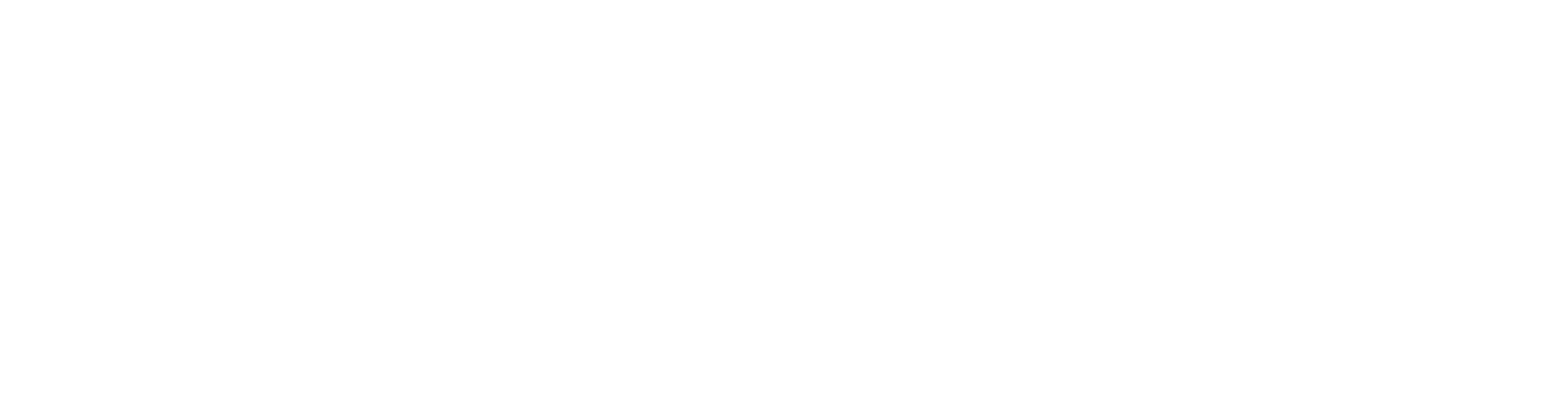 Peak Physical Therapy Logo